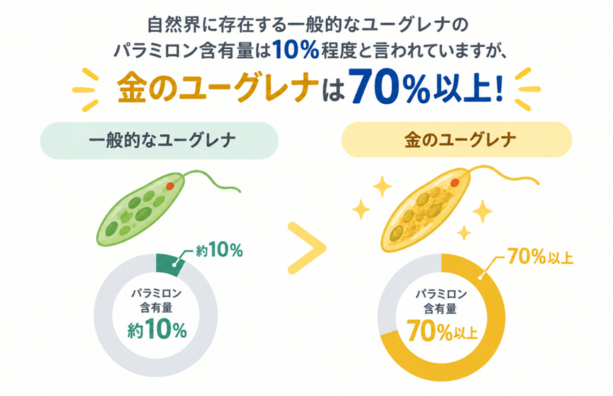 夜にも食べたいサポートヨーグルトについてよくあるご質問