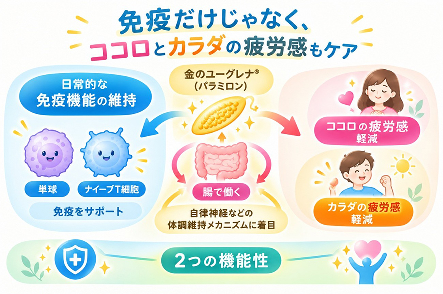 夜にも食べたいサポートヨーグルトについてよくあるご質問