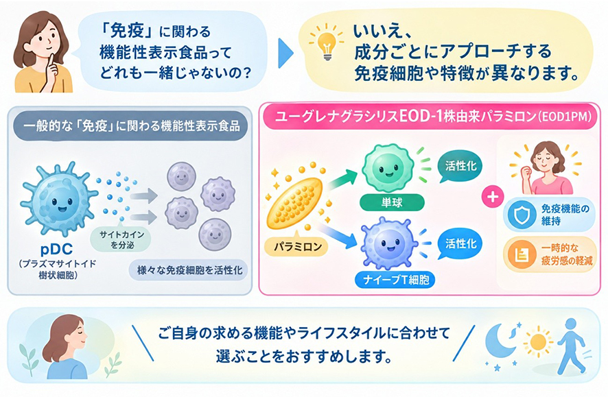 夜にも食べたいサポートヨーグルトについてよくあるご質問