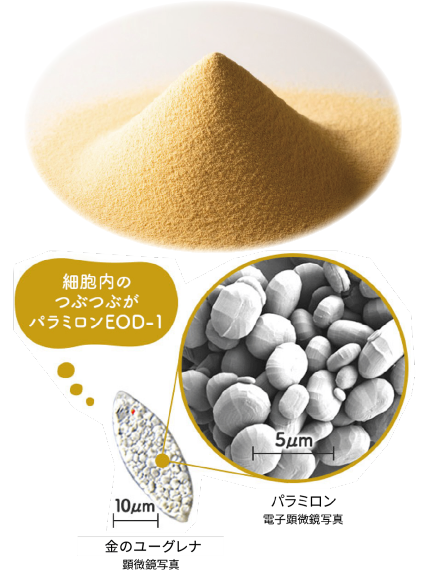 商品詳細イメージ